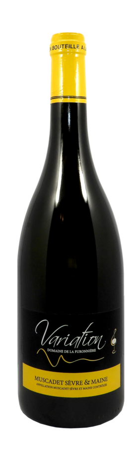 Une bouteille de vin avec un bouchon jaune sur fond blanc.