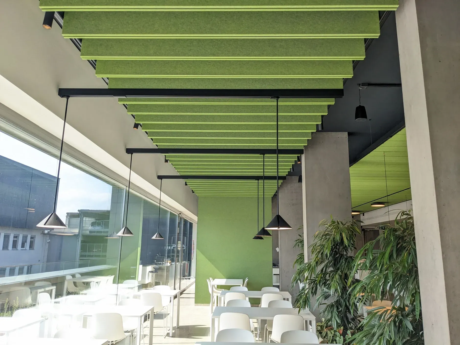 Grüne Akustikdeckenpaneele über einem Essbereich mit Tischen, Stühlen und großen Fenstern.