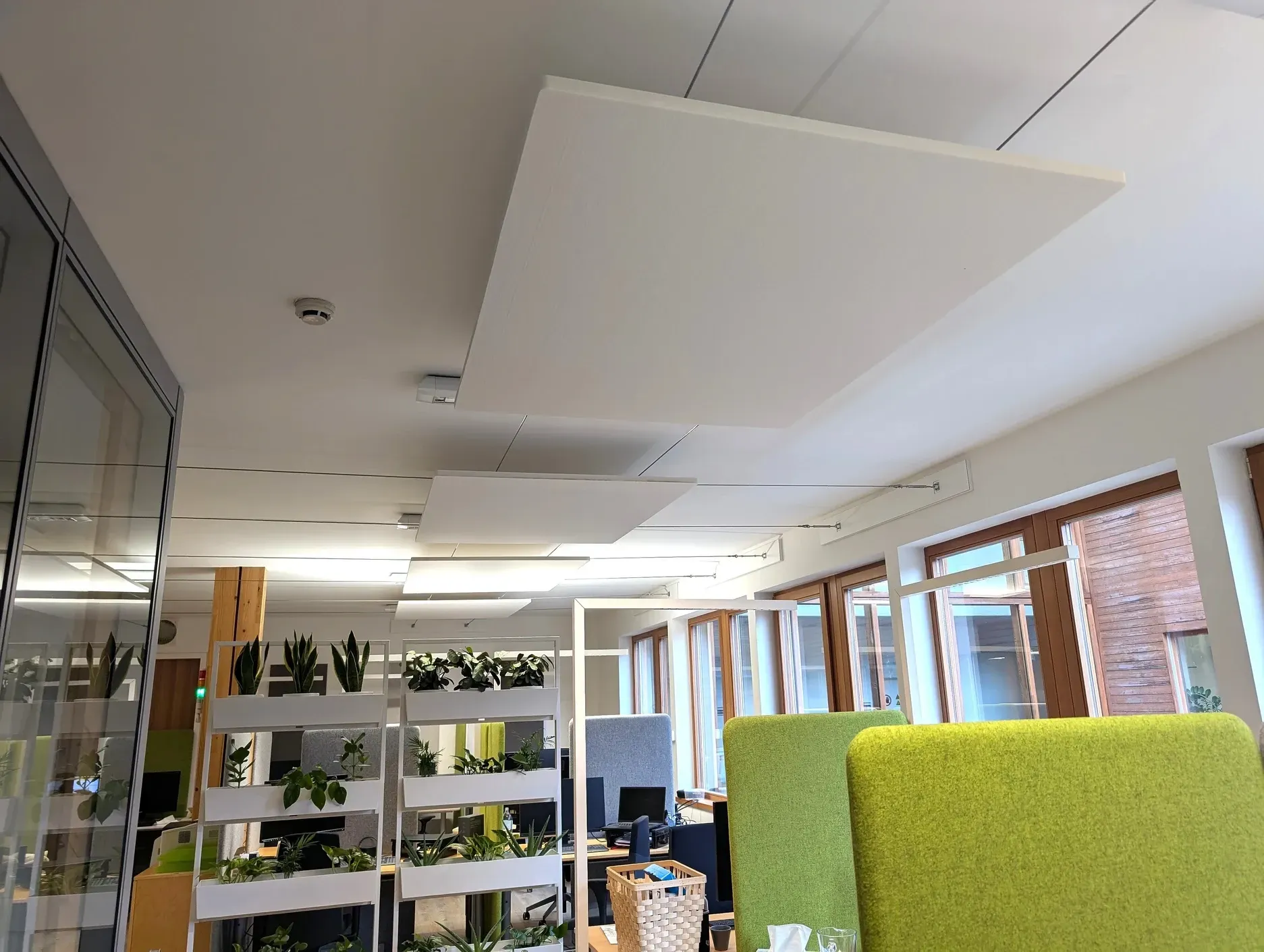 Büroräume mit schallabsorbierenden Paneelen an der Decke, Schreibtischen und Pflanzen. Grün-weiße Dekoration.