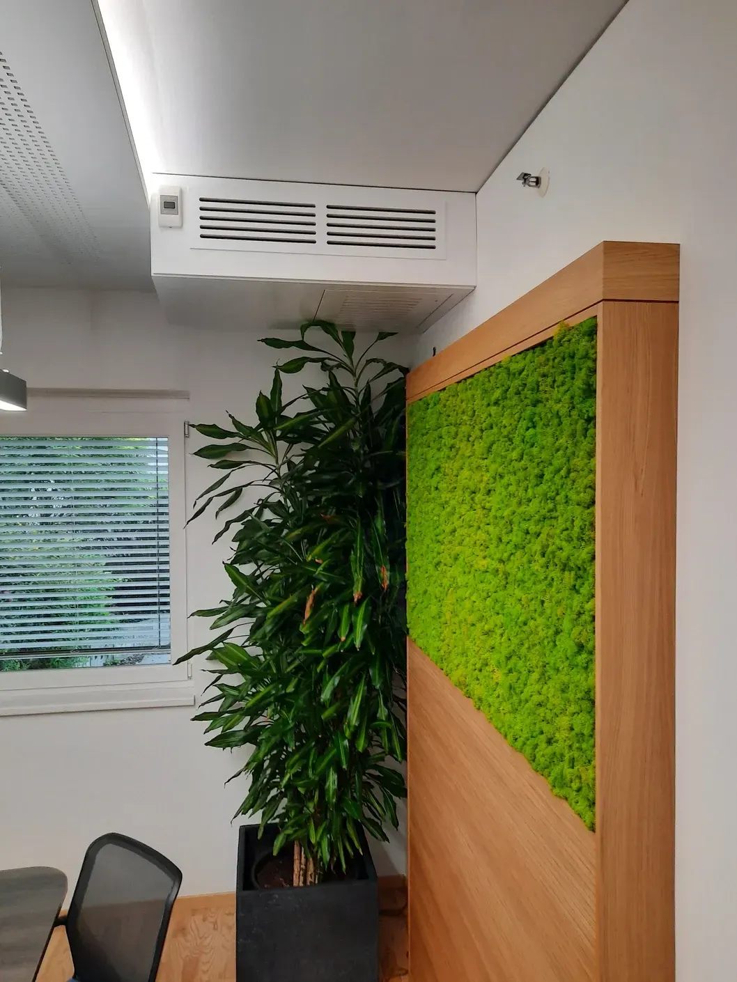 Eine mit grünem Moos bewachsene Akustik Wand neben einer Holzplatte und einem Lüftungsschlitz.