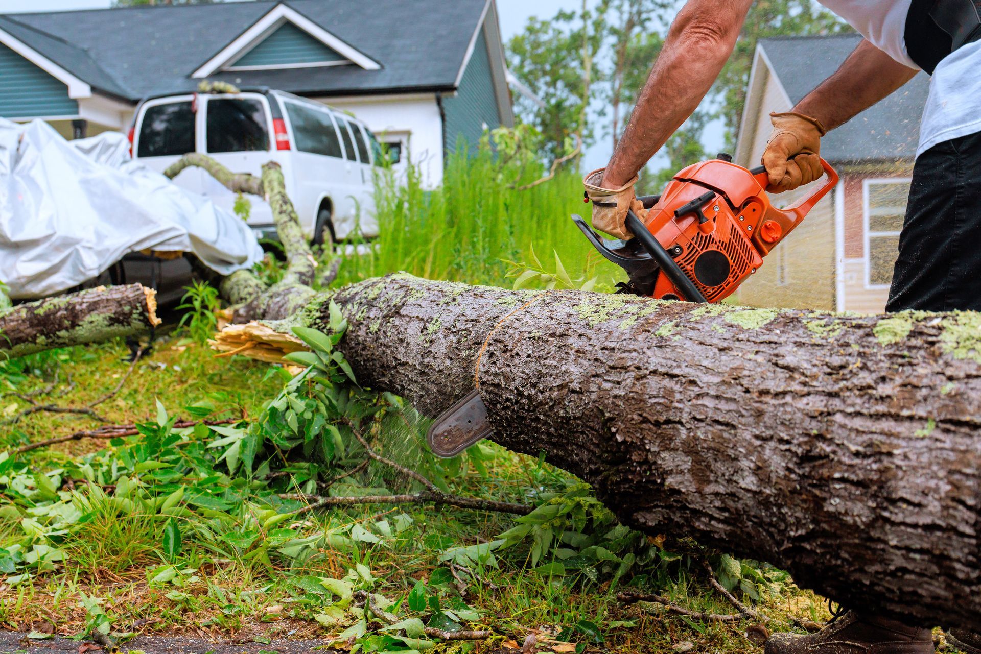 A man using a chainsaw on a fallen tree in front of a house, possibly after a storm.