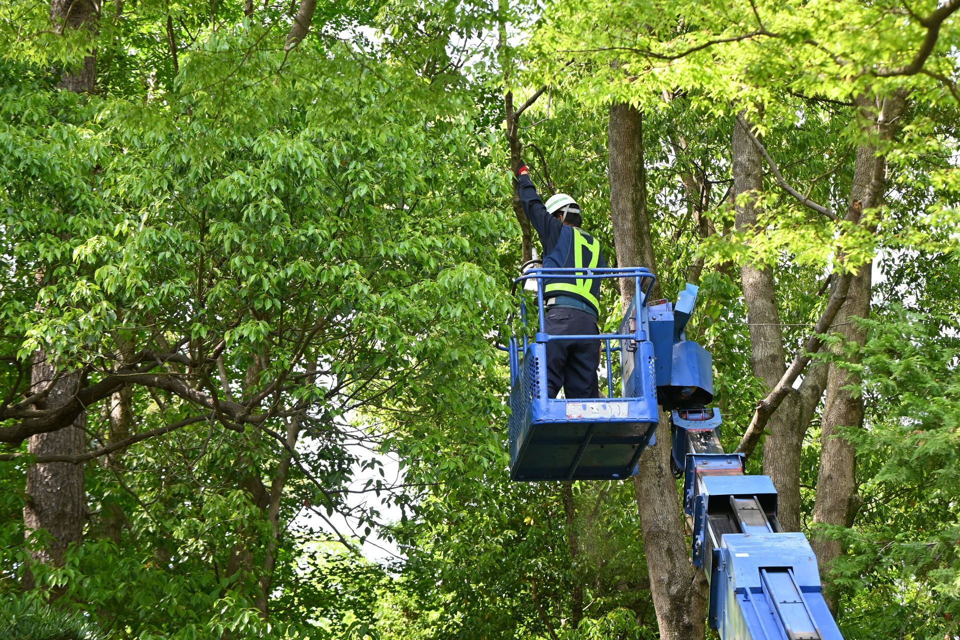 Arborist in A Blue Lift Trimming a Tree — Springfield, Oh — Huffman Tree Service