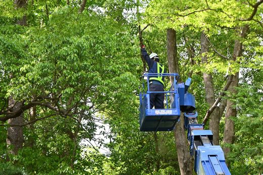 Arborist in A Blue Lift Trimming a Tree — Springfield, Oh — Huffman Tree Service Arborist in A Blue Lift Trimming a Tree — Springfield, Oh — Huffman Tree Service