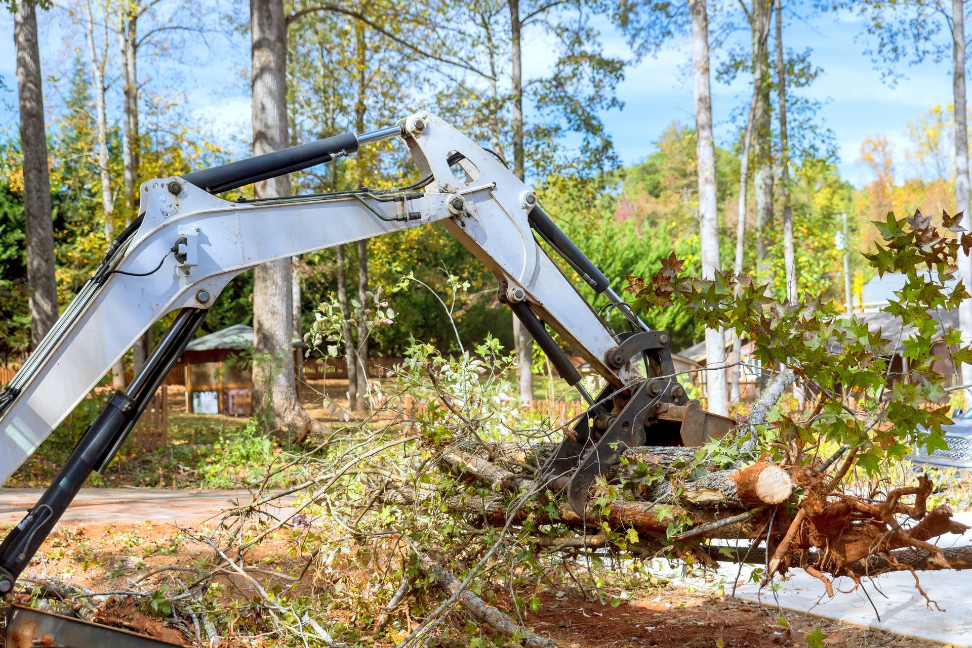 A White Excavator Arm Lifts Tree Branches — Springfield, Oh — Huffman Tree Service A White Excavator Arm Lifts Tree Branches — Springfield, Oh — Huffman Tree Service