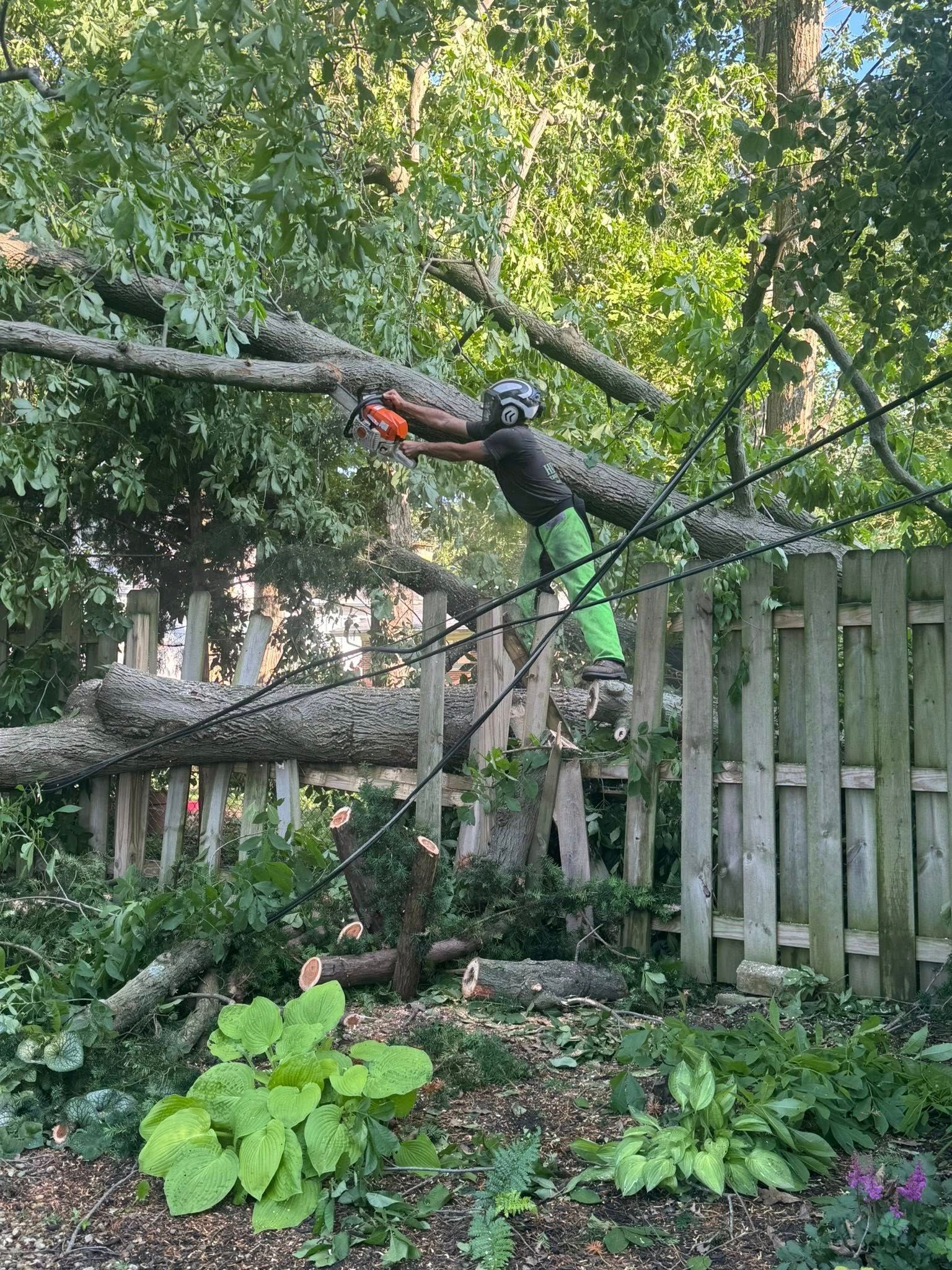 Man Pruning a Tree with Clippers Outdoors — Springfield, Oh — Huffman Tree Service Man Pruning a Tree with Clippers Outdoors — Springfield, Oh — Huffman Tree Service