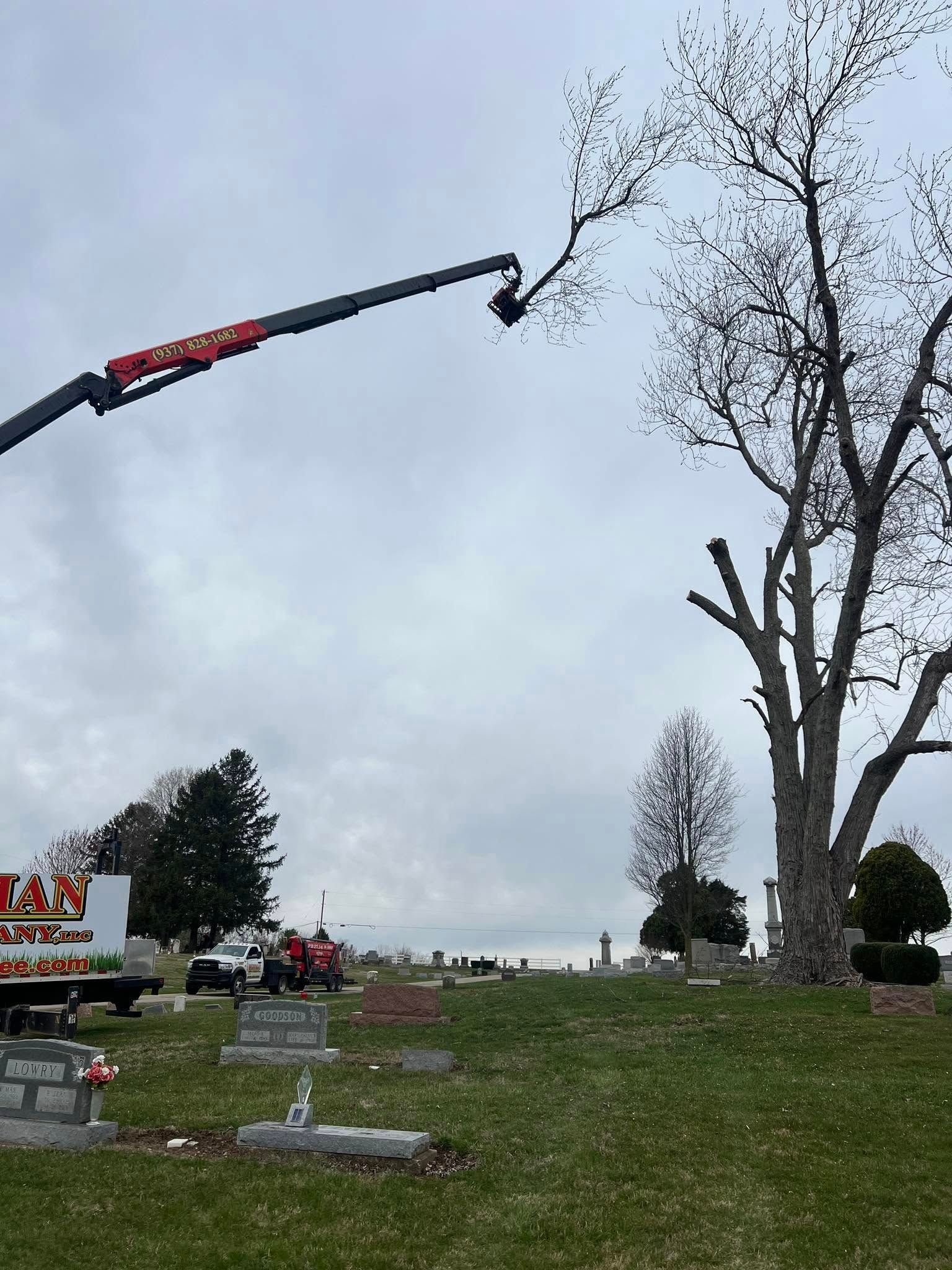 Forester Chopping a Tree with An Ax — Springfield, Oh — Huffman Tree Service Forester Chopping a Tree with An Ax — Springfield, Oh — Huffman Tree Service