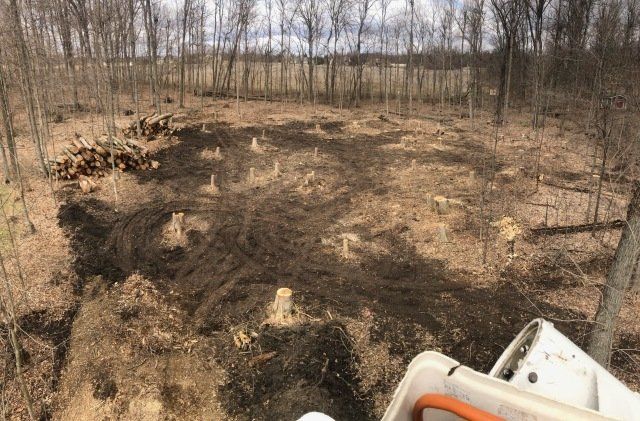 Stump Grinder Mulching Tree Stump on Grassy Lawn — Springfield, Oh — Huffman Tree Service Stump Grinder Mulching Tree Stump on Grassy Lawn — Springfield, Oh — Huffman Tree Service