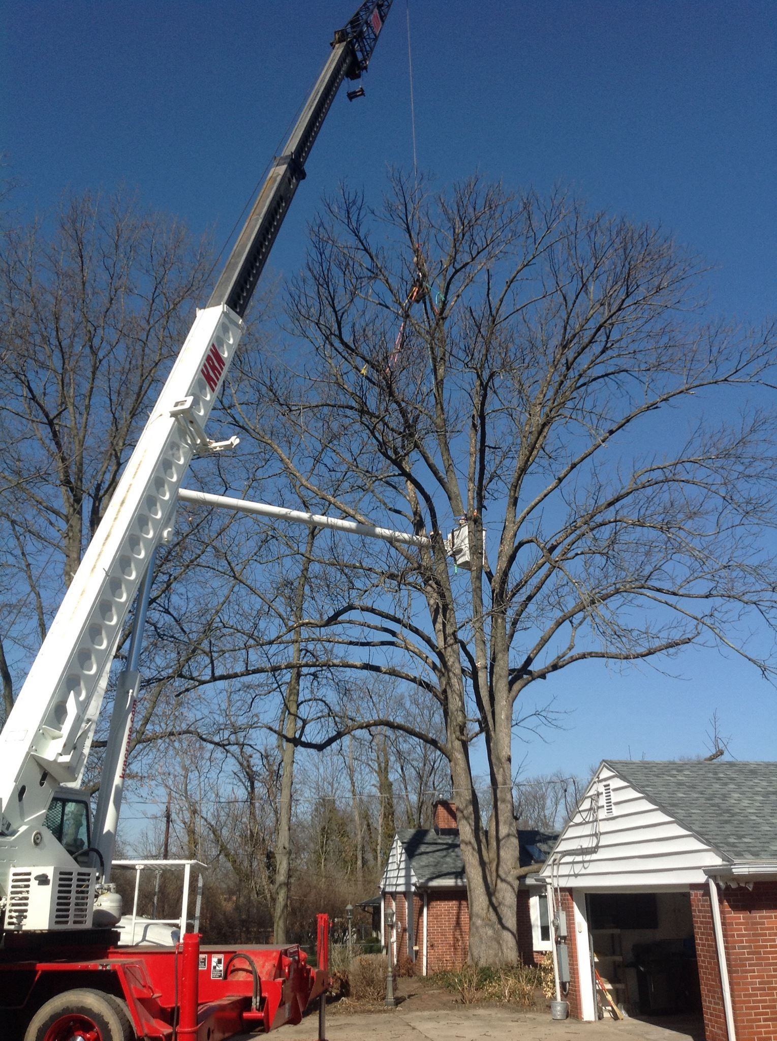 Cutting a Branch with A Chainsaw — Springfield, Oh — Huffman Tree Service Cutting a Branch with A Chainsaw — Springfield, Oh — Huffman Tree Service