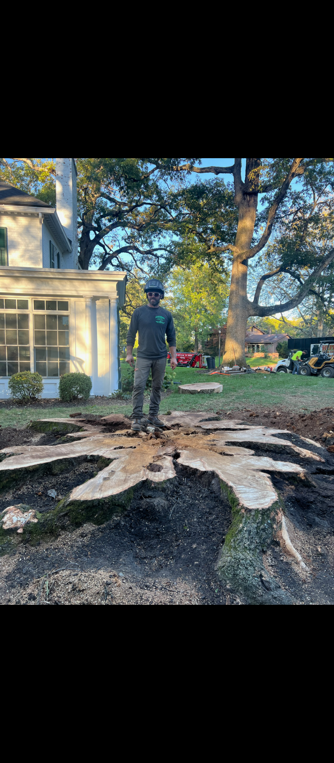 A Yellow Stump Grinder Chewing Into a Tree Stump — Springfield, Oh — Huffman Tree Service A Yellow Stump Grinder Chewing Into a Tree Stump — Springfield, Oh — Huffman Tree Service