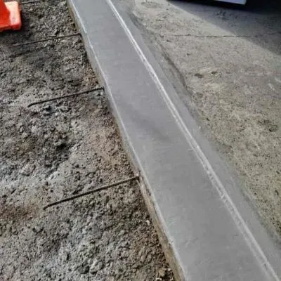 Concrete entrance roller door rear view completed project CareVets veterinary clinic. 3 Waiu Street, Wainuomata.