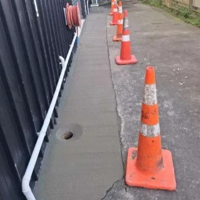 Concrete entrance roller door side angle professional installation at CareVets. In Lower Hutt, commercial concrete.