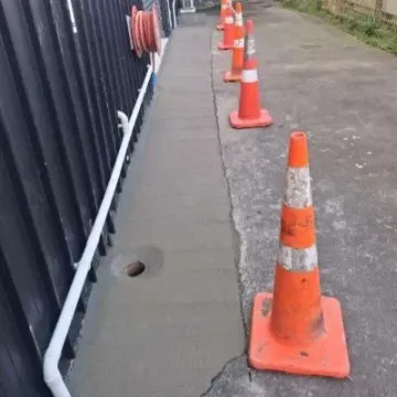 Concrete entrance roller door side angle professional installation at CareVets. In Lower Hutt, commercial concrete.