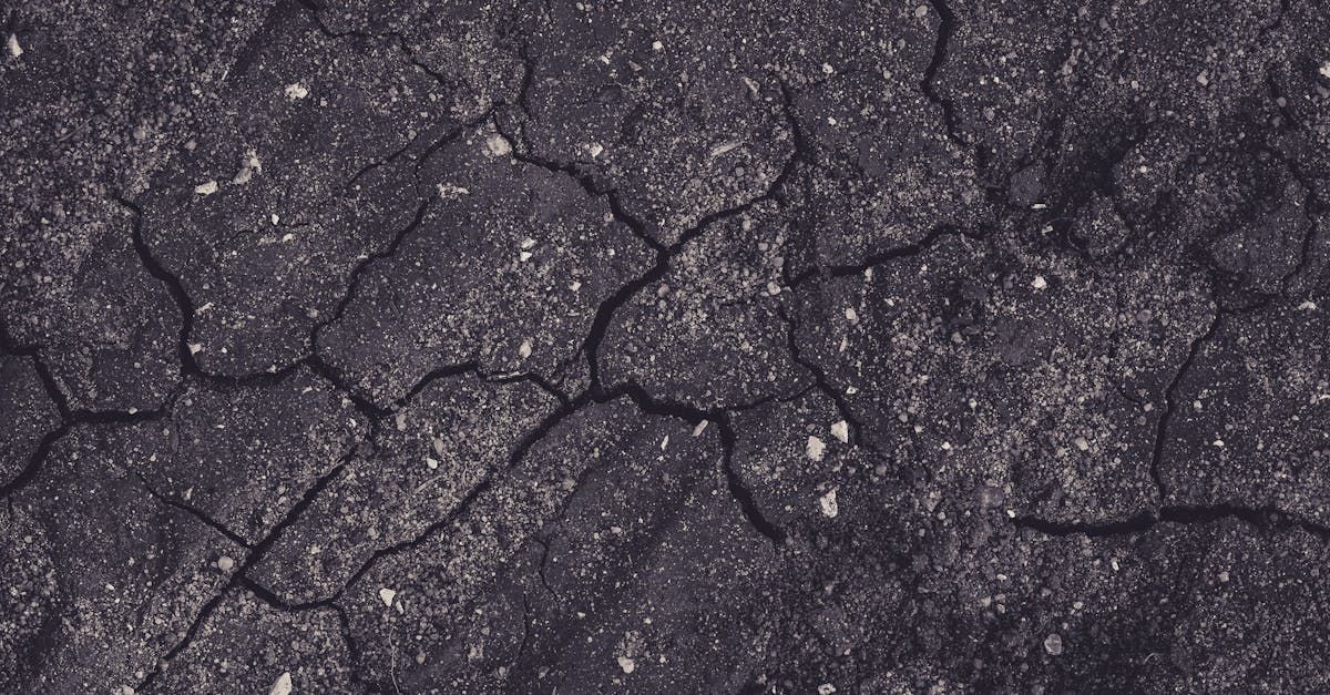 Cracks in my driveway, Lower Hutt & Upper Hutt, Wellington.