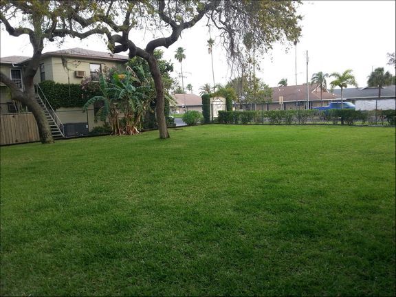 Trees and Grass — St. Petersburg, FL — Pasadena Veterinary Hospital & Laser Center