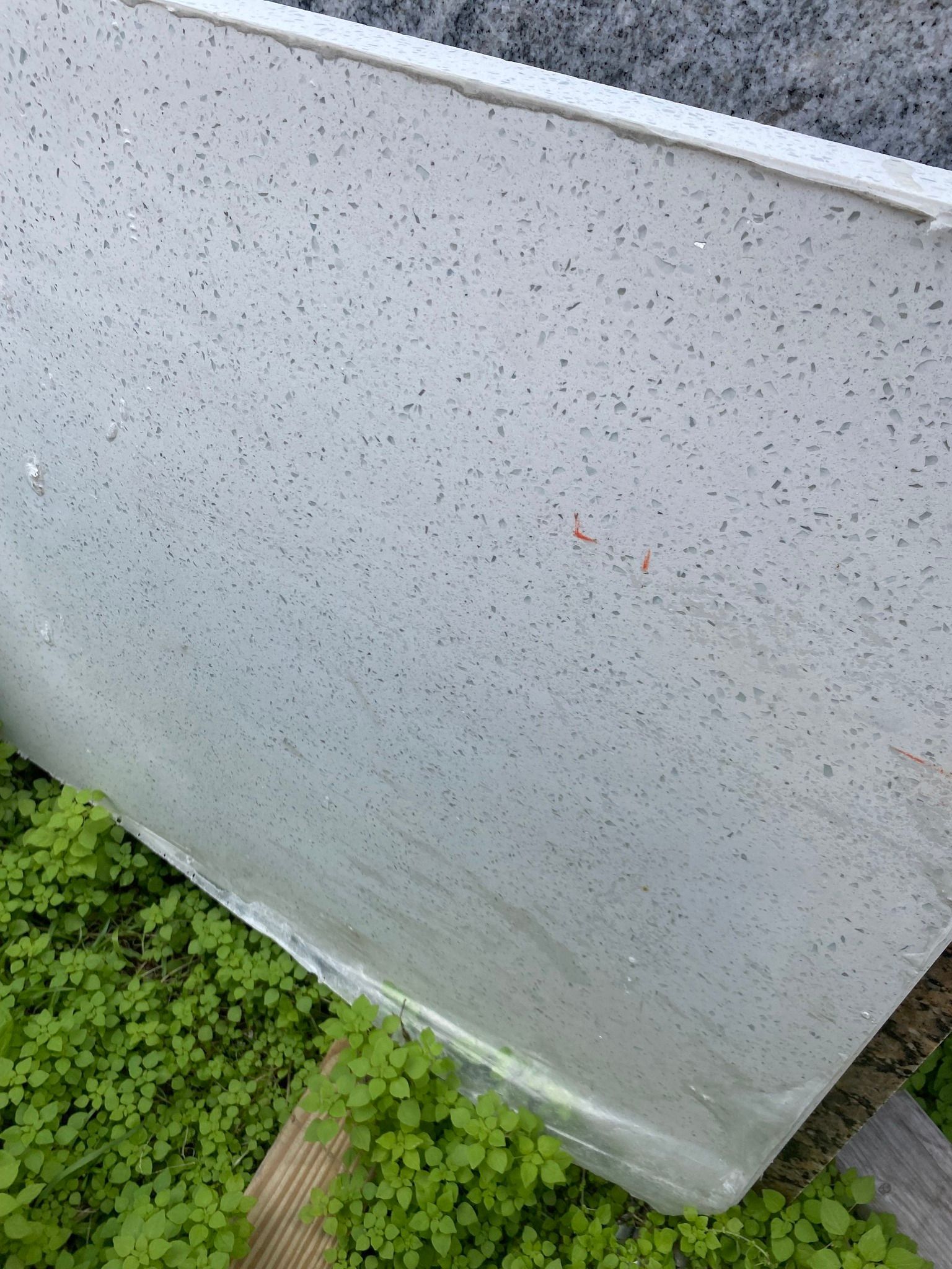 Gray speckled surface with angled edge, partially obscured by green plants.