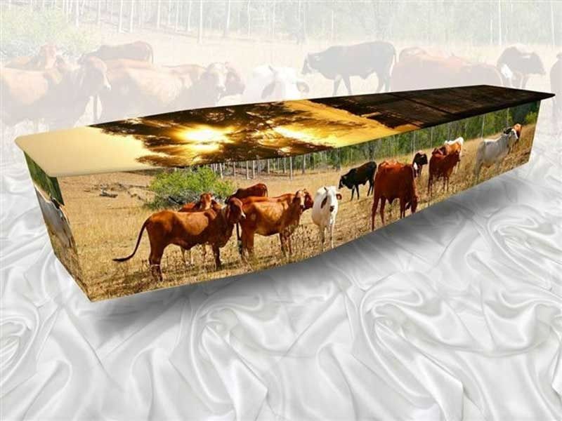 Coffin With a Pastoral Scene of Cattle — Finlayson & McKenzie Funeral Directors in Rockhampton City, QLD