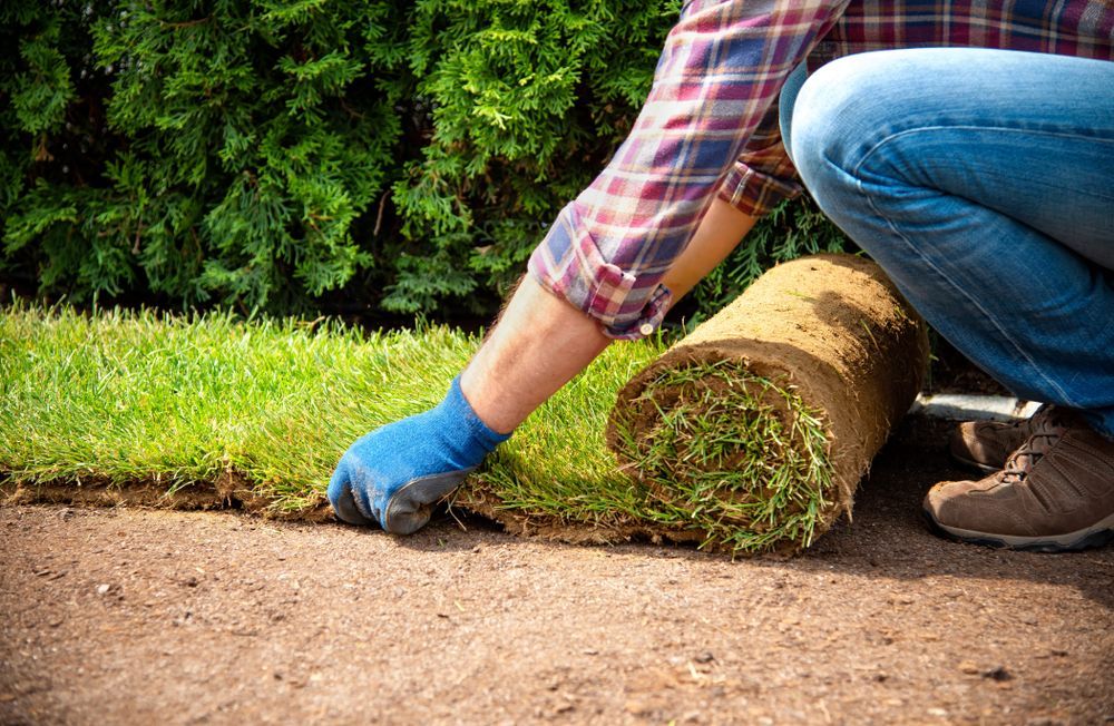 A man is kneeling down next to a roll of grass.