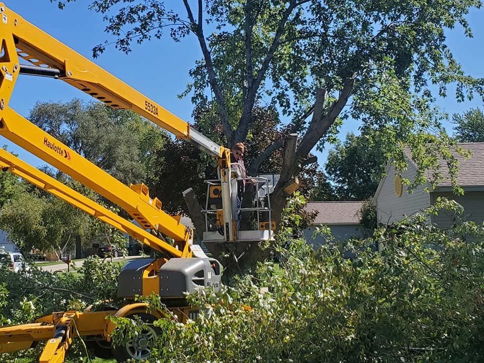 A yellow crane is cutting a tree in front of a house.