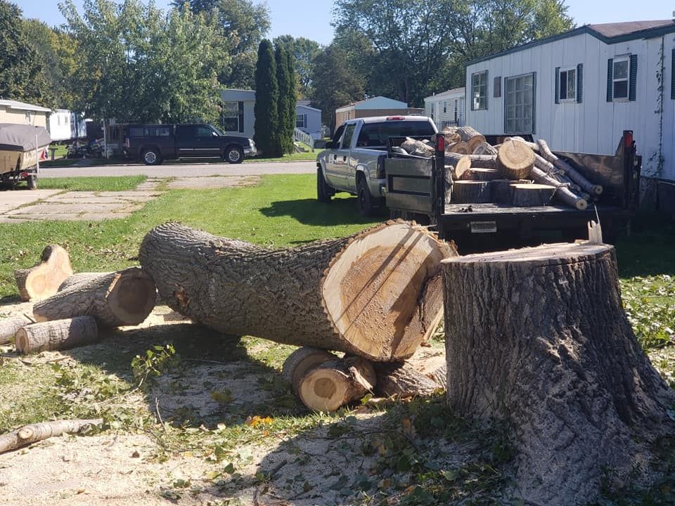 A truck carrying logs is parked next to a tree stump