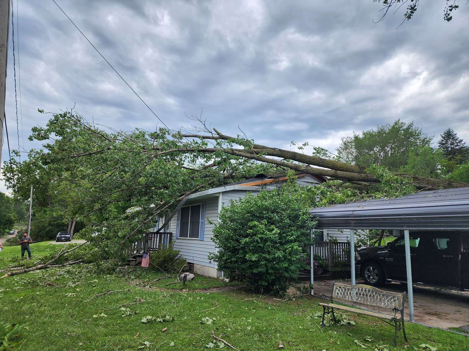 A tree has fallen on the roof of a house.
