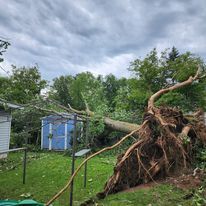 A tree that has fallen on top of a house in a yard.
