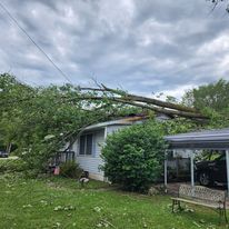 A tree has fallen on top of a house.