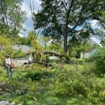 A man is standing in a field next to a fallen tree.