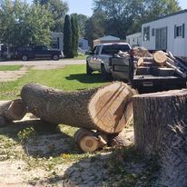 A truck is carrying logs in the back of it.