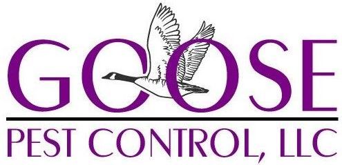 Pest Control Service in Spring Hill, TN | Goose Pest Control LLC