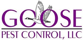 Pest Control Service in Spring Hill, TN | Goose Pest Control LLC