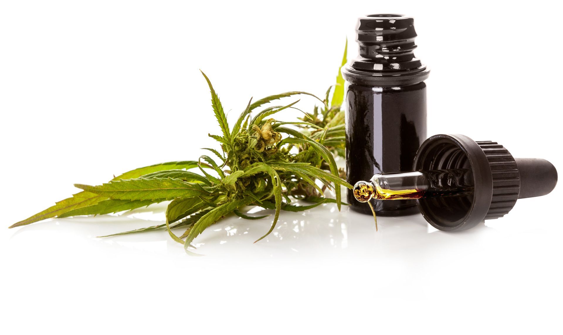 Hemp leaves next to a dark bottle of CBD oil, with a dropper