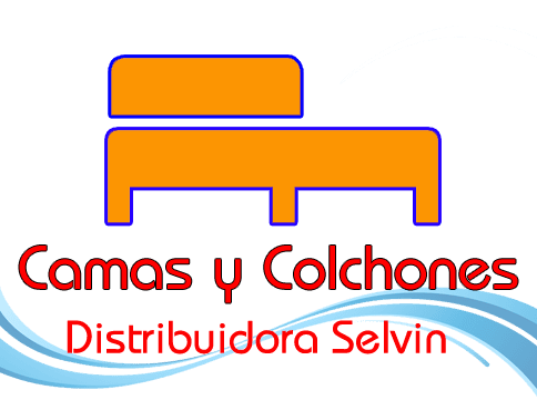 Distribuidora Selvin logo