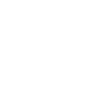 Une icone blanche représentant un cerveau.