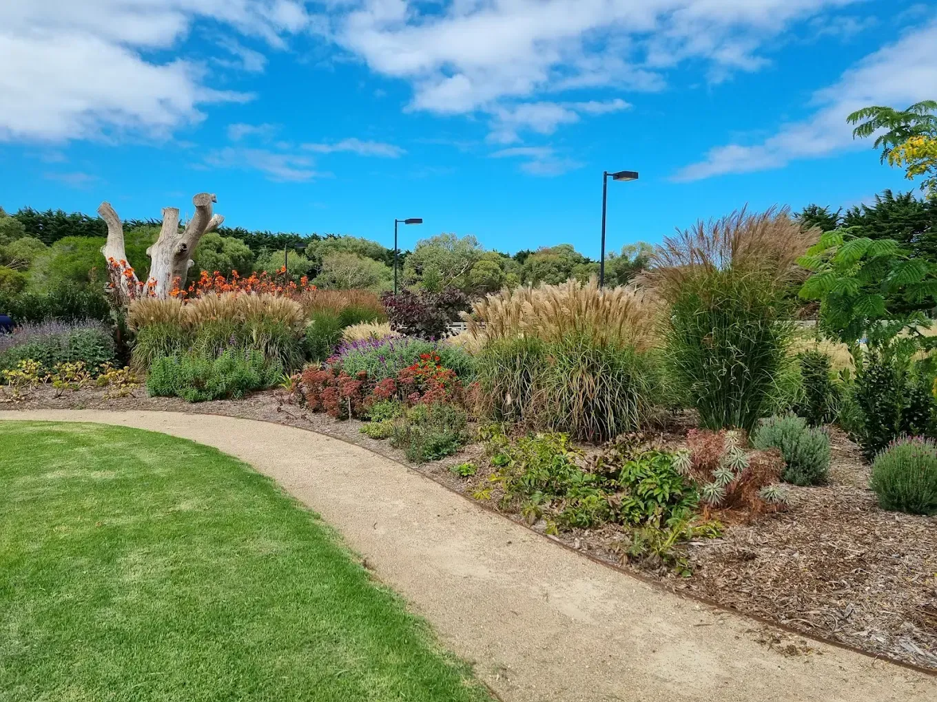Green field with trees and distant hills under a blue sky, lit by golden sunlight.