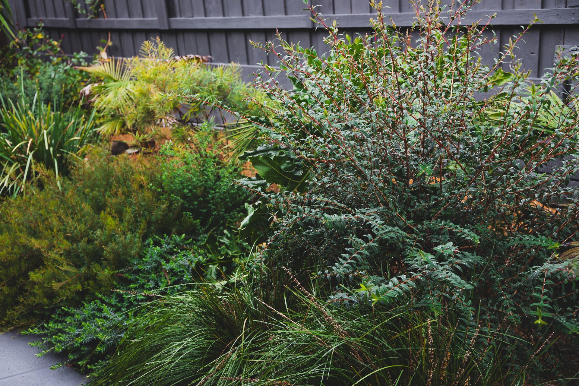 Three construction vehicles, including a blue Toyota skid steer, on a dirt field under a cloudy sky.