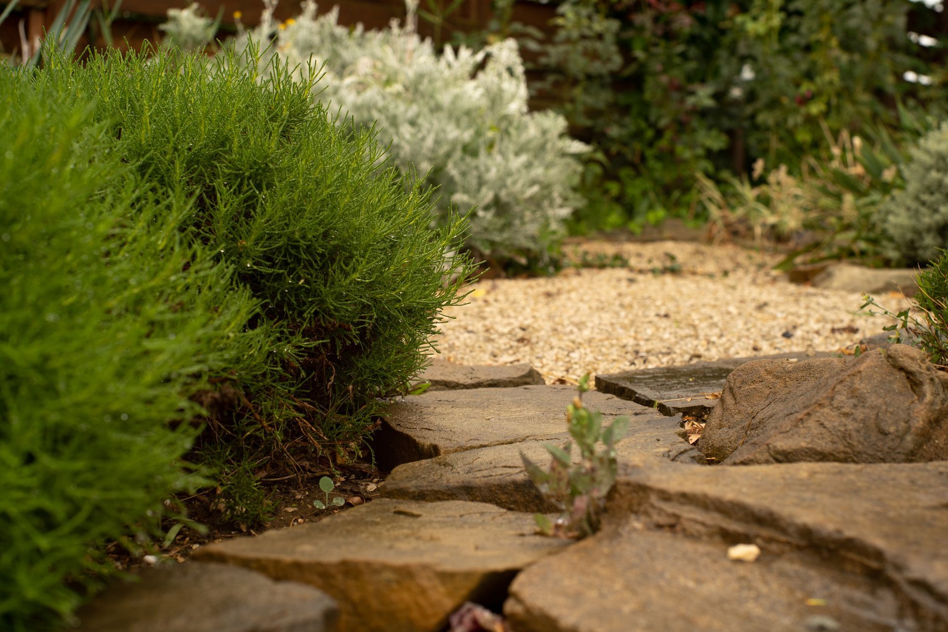 A gravel path curves through a garden bed with colorful plants under a blue sky.