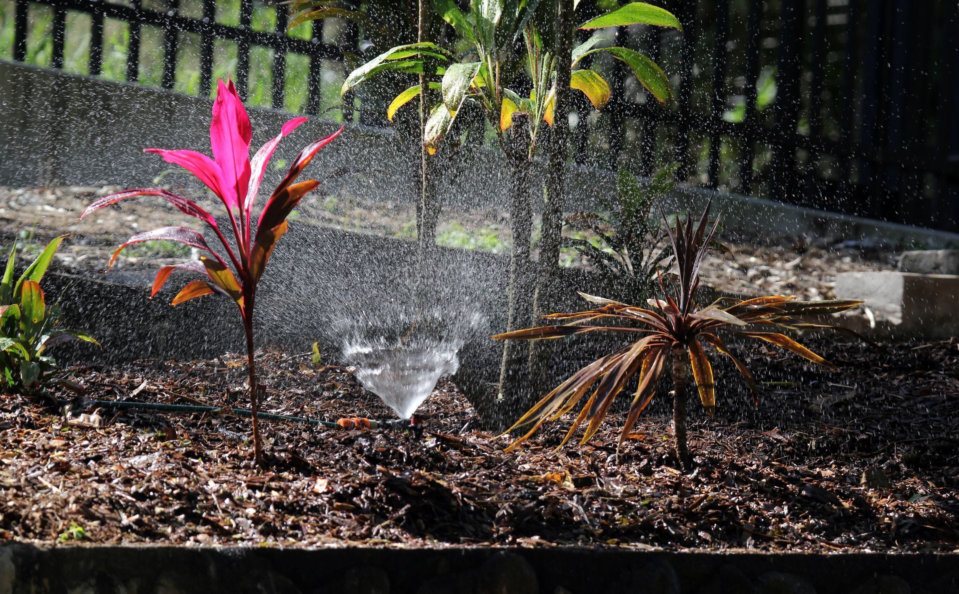 Green field with trees and distant hills under a blue sky, lit by golden sunlight.