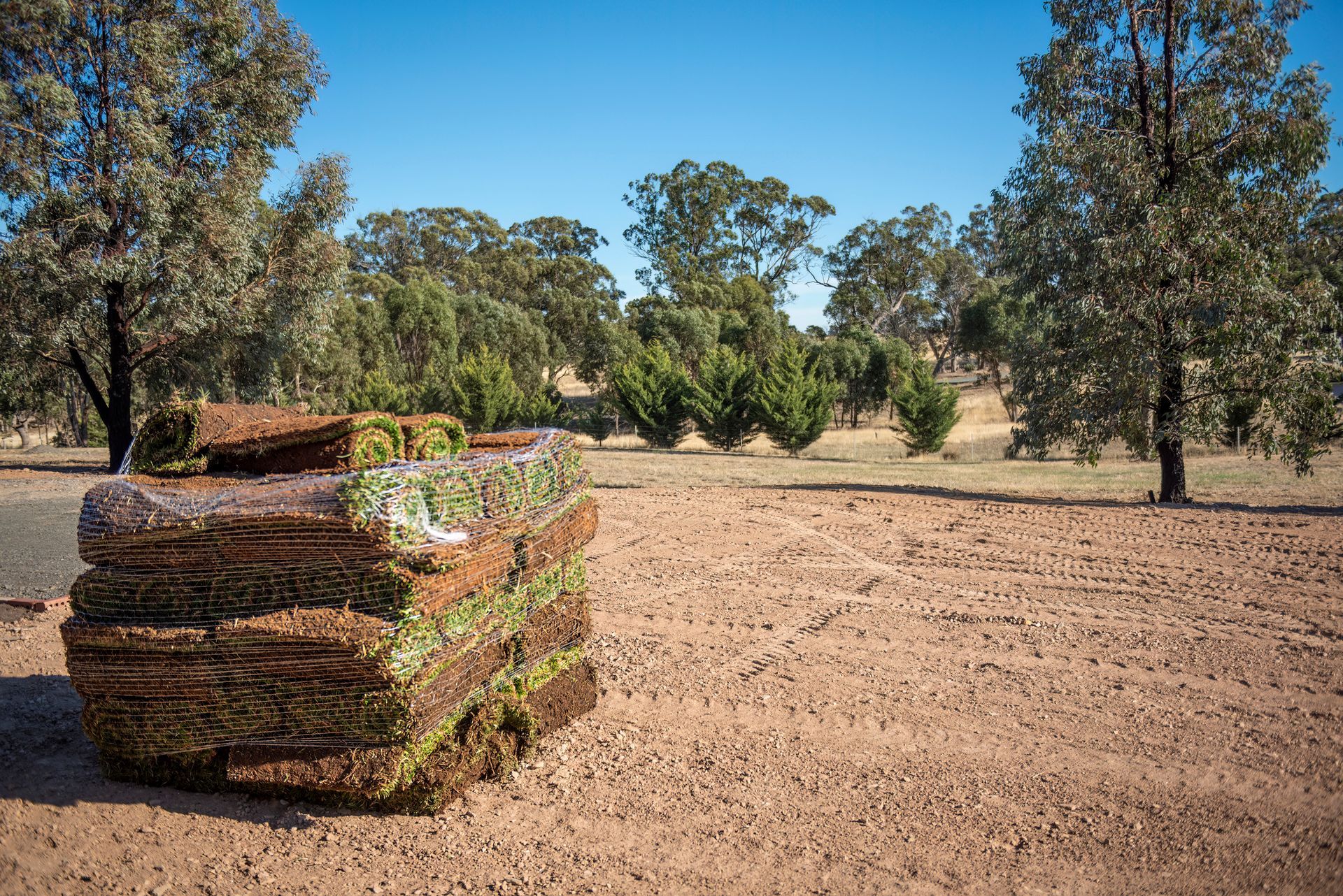 Stone path winds through lush, green hillside garden.
