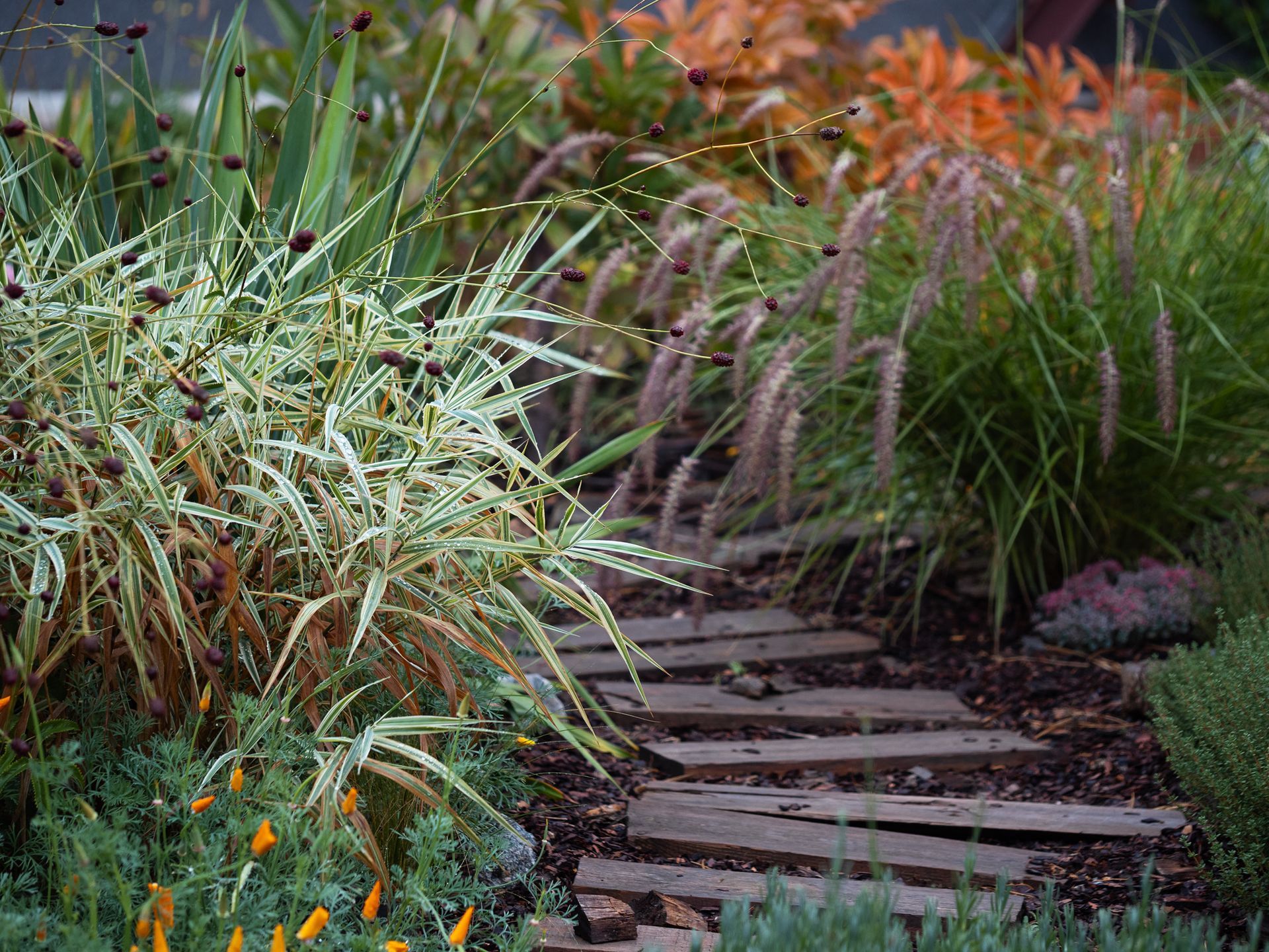 A gravel path curves through a garden bed with colorful plants under a blue sky.