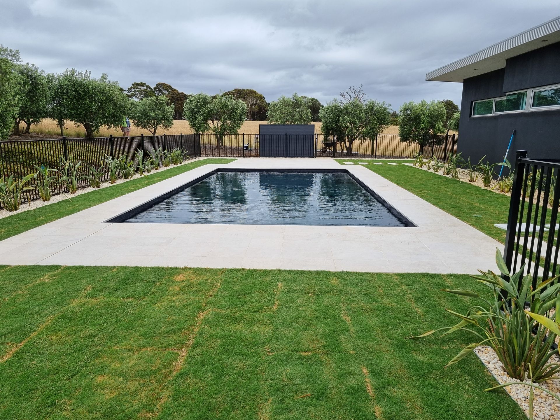 Rectangular swimming pool surrounded by a concrete border and green grass lawn. Trees and a modern house are in the background.