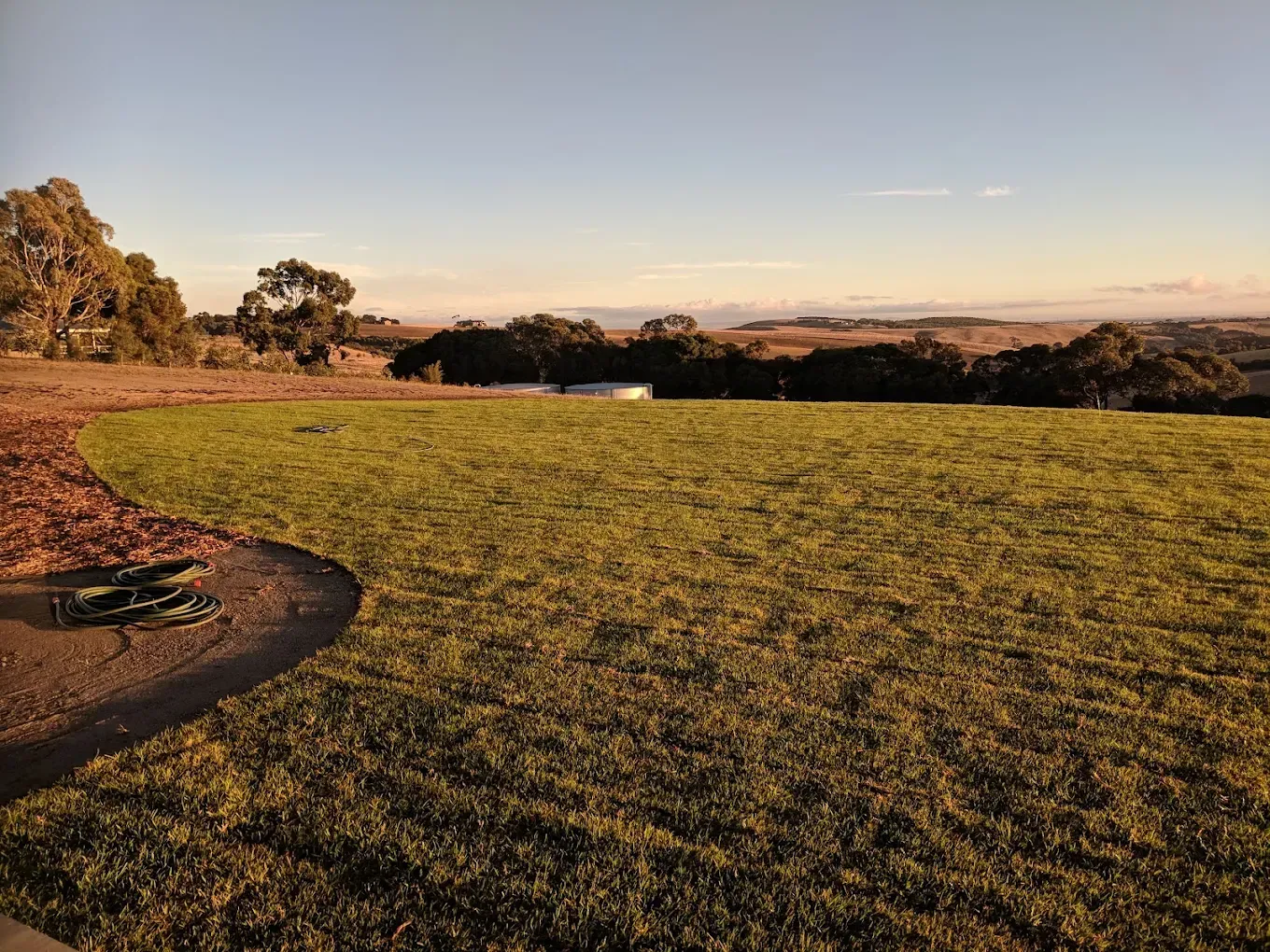 Green field with trees and distant hills under a blue sky, lit by golden sunlight.