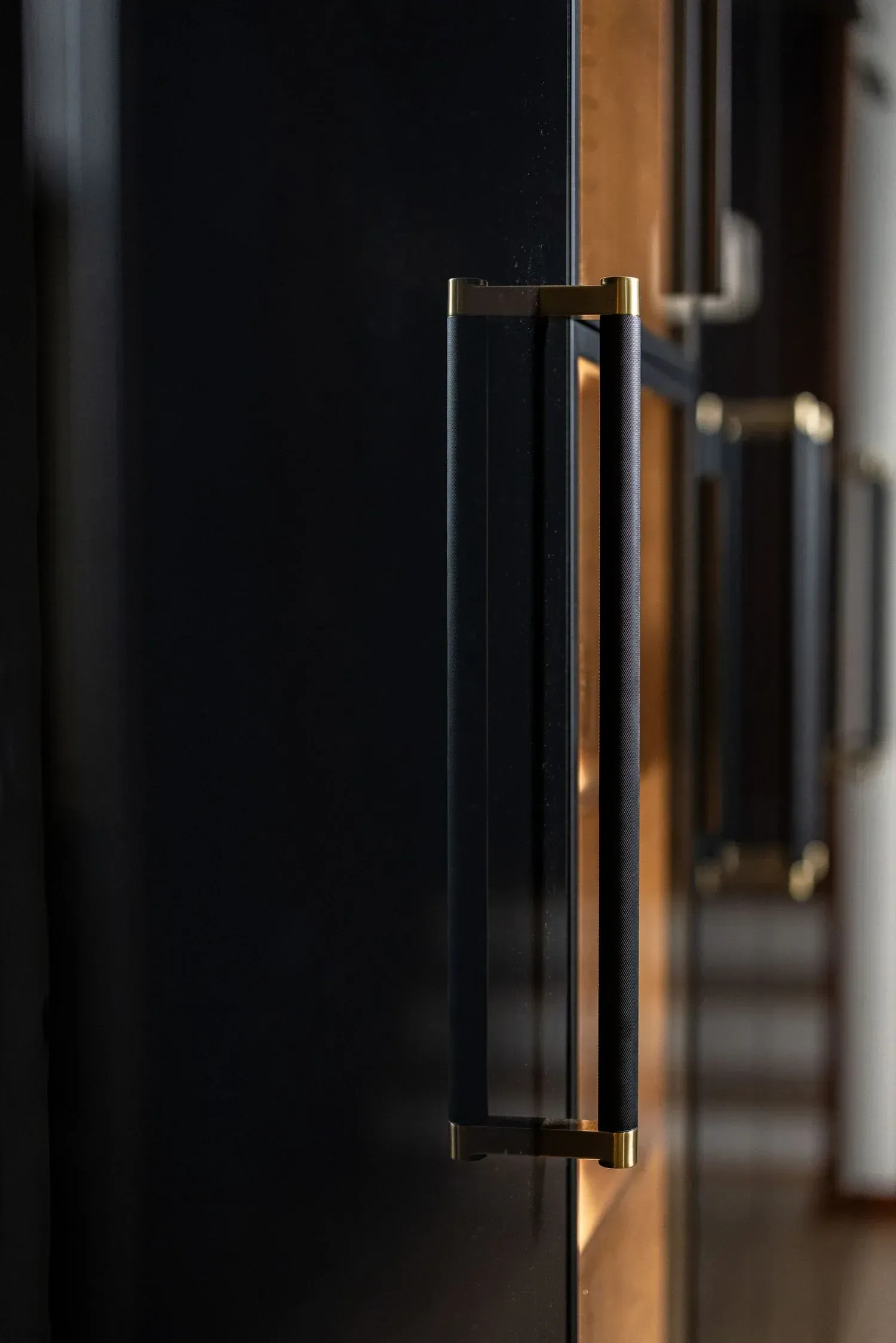 modern kitchen design greenville, kitchen design greenville, luxury kitchen design, euro kitchen design greenville, contemporary kitchen design greenville, custom cabinets greenville, modern cabinets greenville, leicht greenville