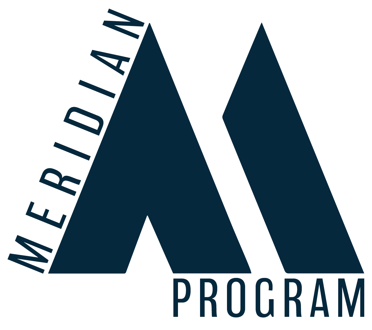 The meridian program logo is a triangle with the letter m on it.