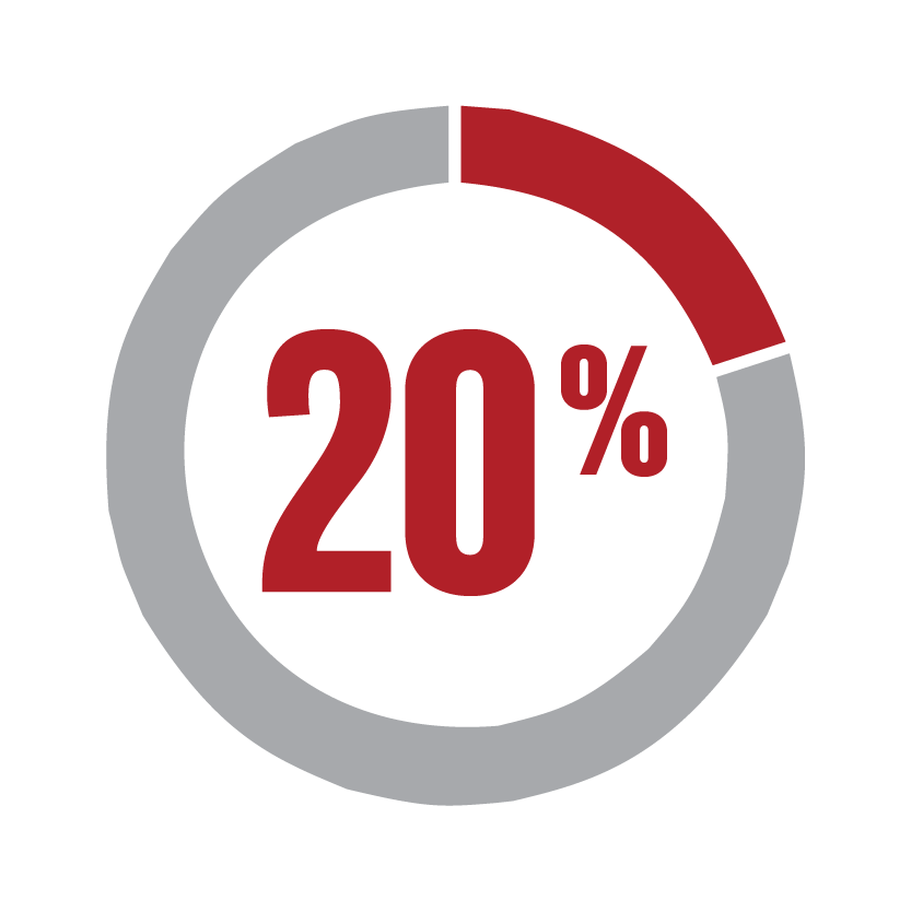 A pie chart showing a 20 percent in a circle.