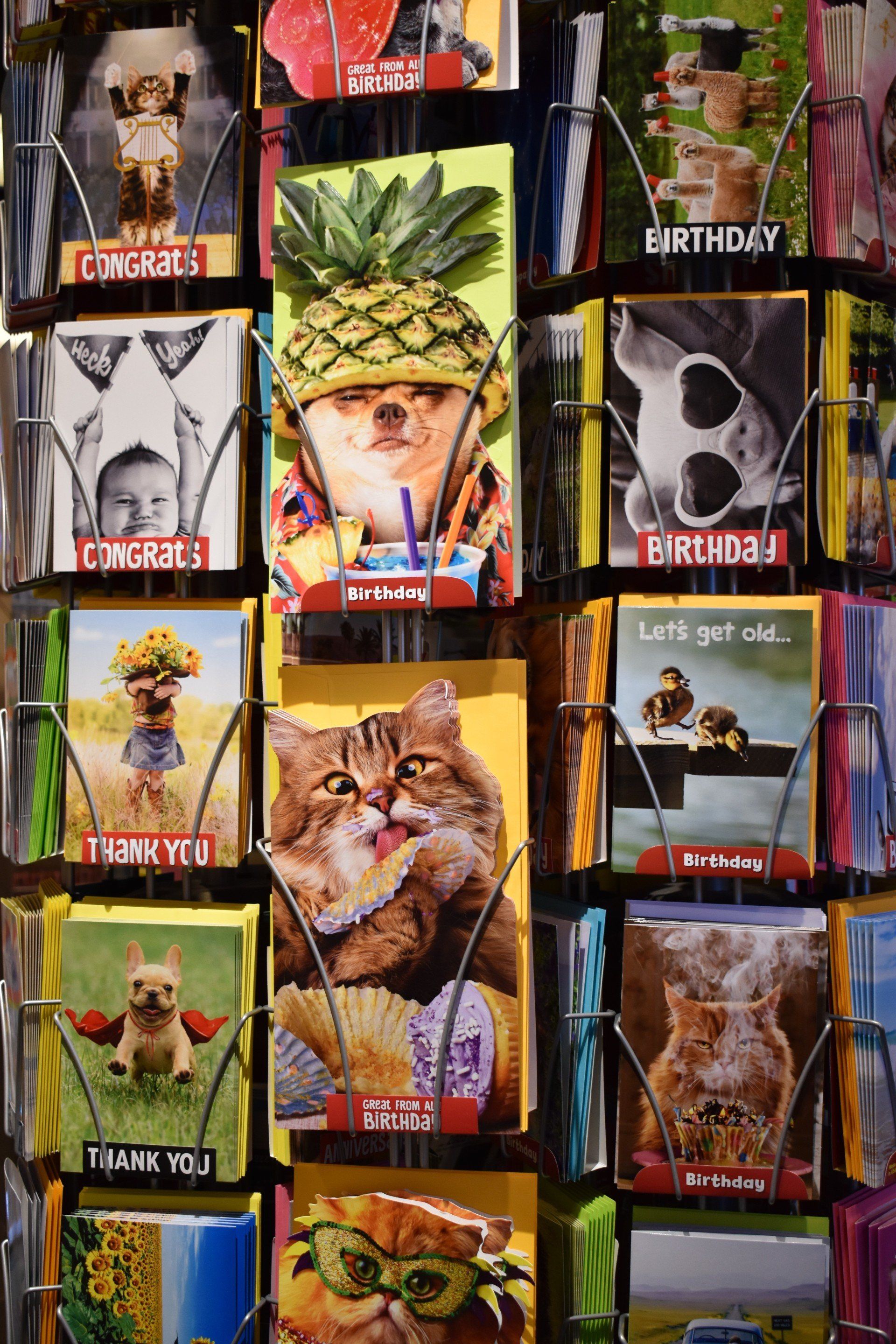 A bunch of cards with animals on them are hanging on a rack.