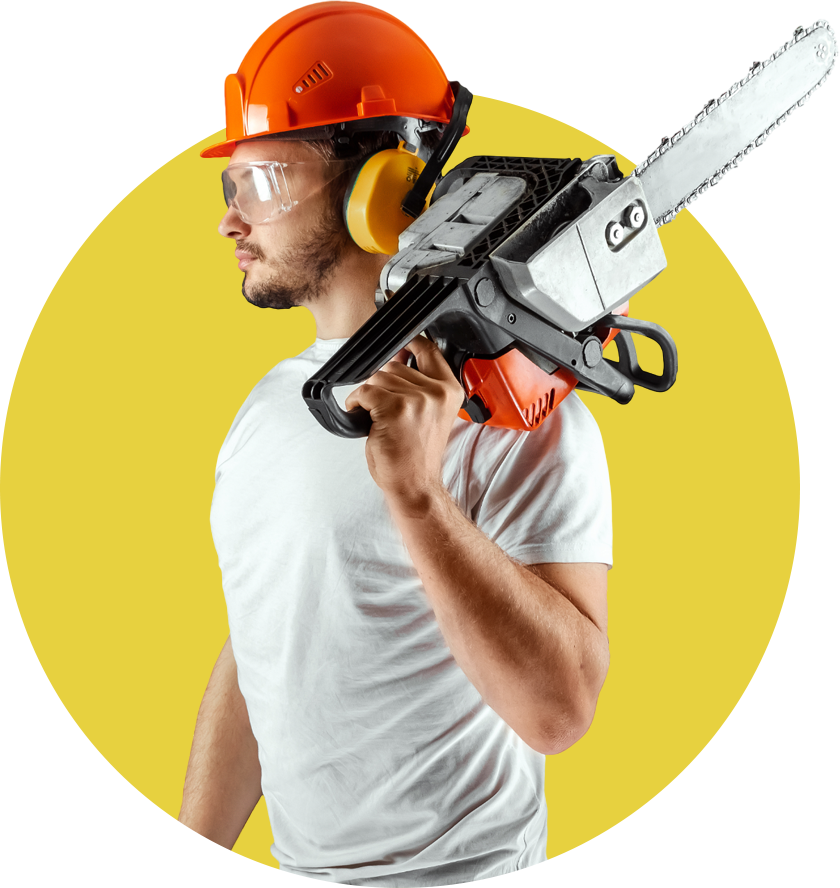 Arborist With Chainsaw Arborist With Chainsaw