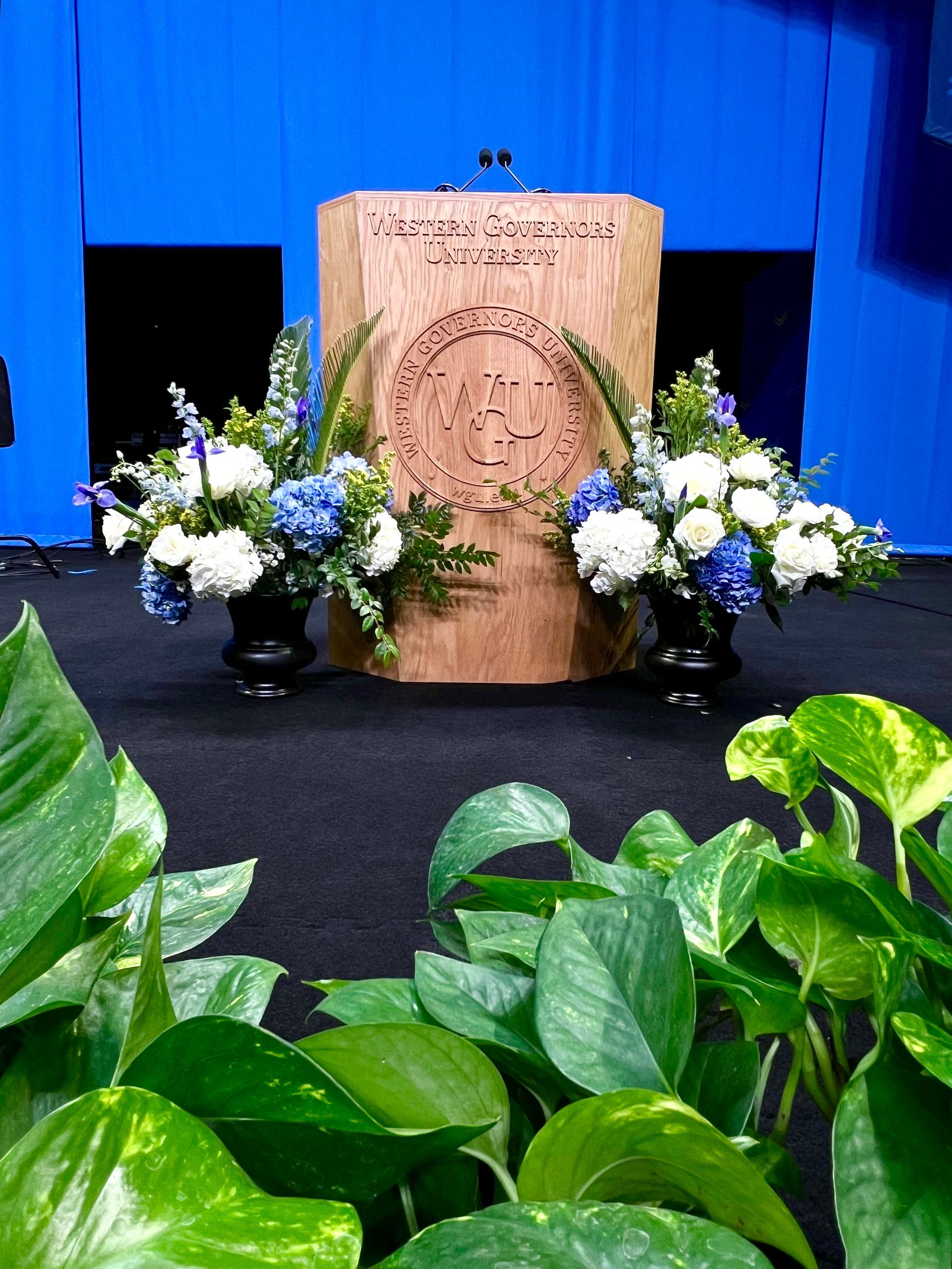 Corporate plant rentals.