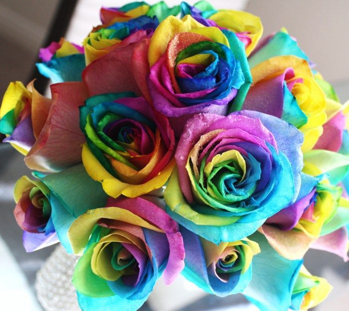 A bunch of rainbow colored roses on a table