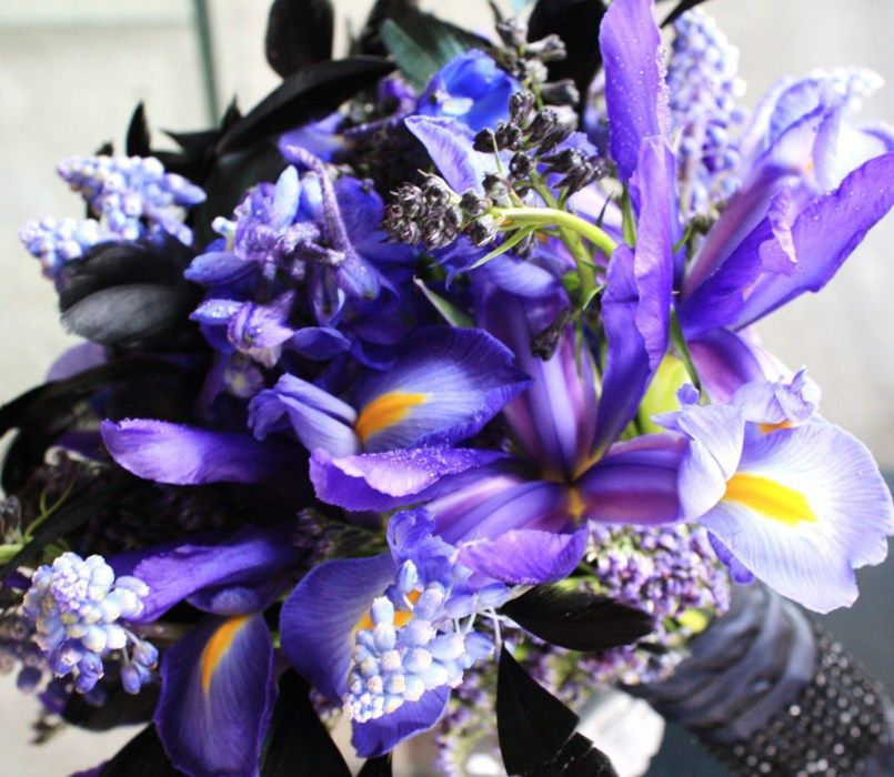 A close up of a bouquet of purple flowers