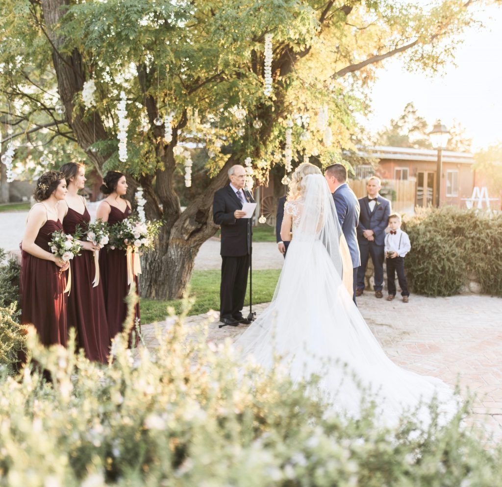 A bride and groom are kissing under a tree at their wedding ceremony.